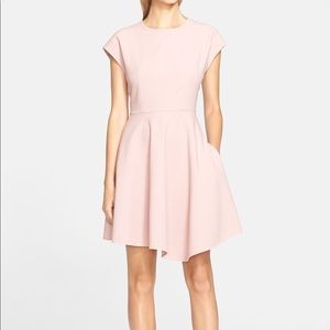 NWT Tibi Anson blush pink flare mini for work